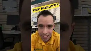 Pine Needles VS Bark Mulch!! #lawncarebusiness #mikeandes #lawncaremillionaire