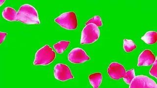 flower green screen video|green screen flowers |flowers green background|green screen flowers