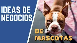 15 ideas de negocios innovadores y rentables en el sector mascotas