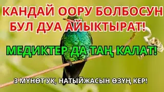 🚀 БИР ЗАМАТТА ШЫПАА! 5 Мүнөт Ичинде Ооруну Унуттурган Керемет Дуба