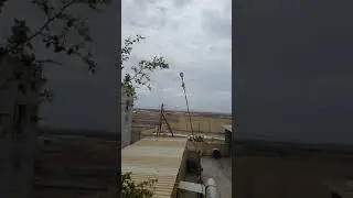 Macaw on roof Liwa Oman