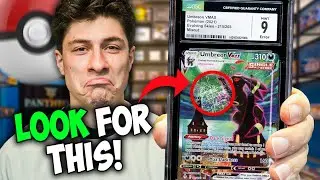 The Truth About Pokemon Card Grading - From An Inside Source