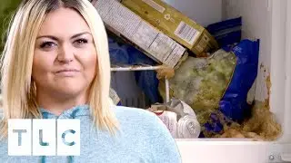 I've Never Lived in an Apartment So Dirty! | My Giant Life
