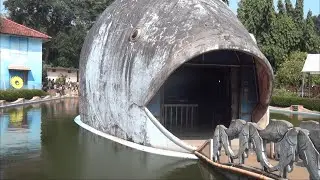 Malampuzha Dam | Fresh water aquarium |