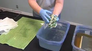 Flooded & Wet : DIY Heirloom Textile Recovery