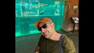Livestream - New Slot Machines Atlantis Bahamas Casino