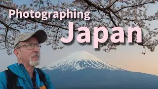 Springtime in Japan | Cherry Blossoms, Shrines, and Pagodas #sakura  #mtfuji