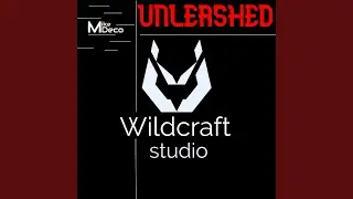 Unleashed (Original mix)