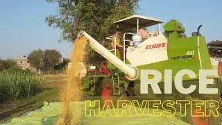 Rice Harvesting - Claas Crop Tiger 40