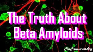 About Beta Amyloid Types, Functions, Monomeric vs Oligomeric A&beta; in Alzheimer's Disease - Part 3