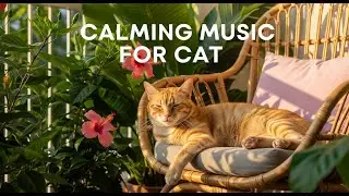 12 Hours of Calming Sounds for Anxious Cats : Sleep Aid, Insomnia Relief & Relaxation 🧘&zwj;♀️😻