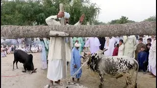Baisakhi Mela Festival in Punjab  Pakistan 2022 Baisakhi video Part 2