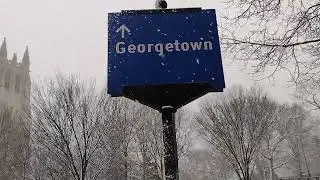 Happy Snowy DC ❄️🌨️ Sunday from the Flock 🦜🦜🦜🦜🦜 and Me 1