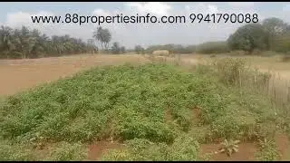 ECR Neikuppi village farmland for sale at best lowest price