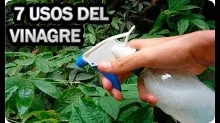 7 Usos Brillantes Del Vinagre En El Huerto O Jardín || La Huertina De Toni