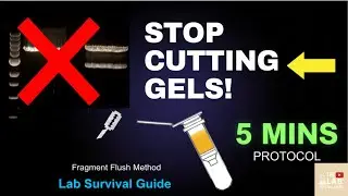 Why I Quit Gel Purification (And what I do instead)