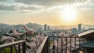 Geisha Lo Fi Grooves 🌸 Japanese Traditional Vibes for Study