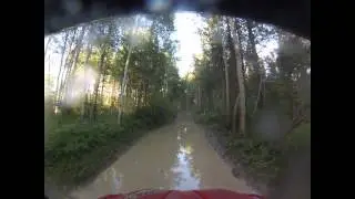 Quick Trip To Swan Lake