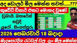 🔥 ඩොලර් එකක ම්ල ඉහළට|Kuwait currency exchange rate today|currency|remittance| 2026/02/18