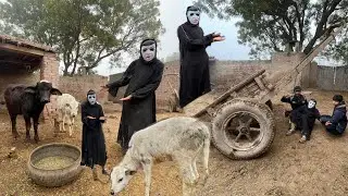 Bhoot ne bhains ka bacha chori Kia👻part4 bhoot video 