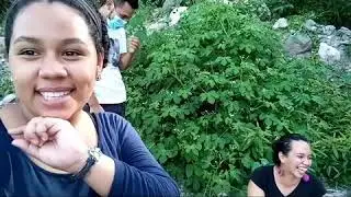 El chichicaste🤣😂😜