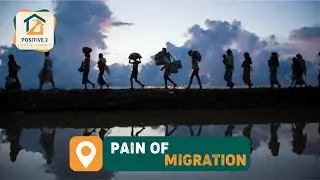 Pain of Migration || Positive 2