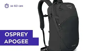 Рюкзак Osprey Apogee Sentinel Grey за 60 секунд