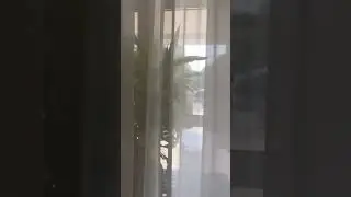 Тюль на панорамное и скошенное окно