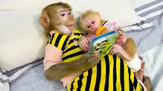 Monkey Kaka and Monkey Mit are lying next to each other looking at their phones, it's so cute.