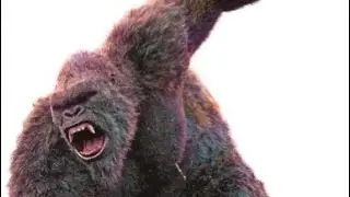 Kong 2024 Roar (If you use, Credit me.)