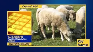 KOY HAVASI  KIRKLARELİ KAYABEYLİ KÖYÜ
