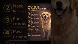 Your Dog&rsquo;s 10-Second Daily Check