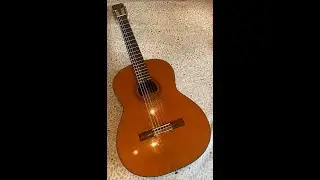 Fender Classical Guitar FC40