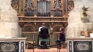 Organ bird music