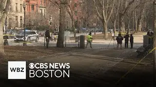 No arrests made in hit-and-run crash in Boston's Back Bay that sent 1 to hospital