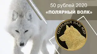 50 рублей 2020 - Полярный волк (золото 999)