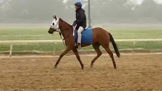 Raceday Attire - Trackside - 5.27.21