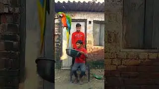 tha birds funny 😂 game  vfx magic video Kinemaster editing #shortfeed #vfx #shorts #viral