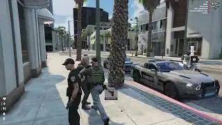 AMG DAO METAVERSE | SAST/LSPD Montage