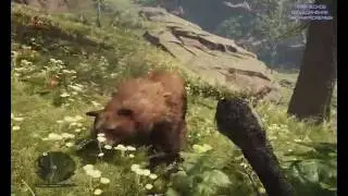 FCPrimal