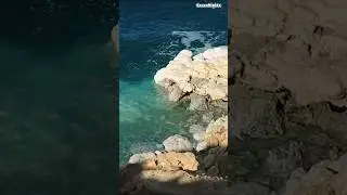 The Mysteries of the Dead Sea in The Middle East! #travel #mystries #deadsea #middleeast #shorts