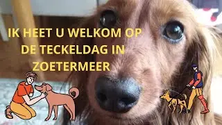TECKELDAG ZOETERMEER 6 mei 2023  HD 1080p
