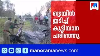 വാളയാറിൽ ട്രെയിൻ ഇടിച്ച് കുട്ടിയാന ചരിഞ്ഞു | Elephant | Palakkad
