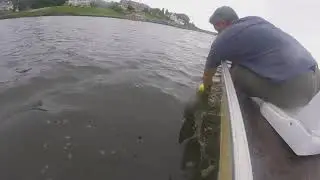 Navesink River crabbing