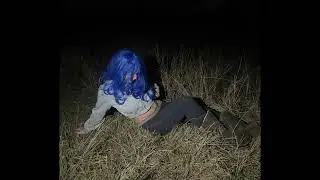dom corleo + 2013 asap rocky sample type beat - hones plan
