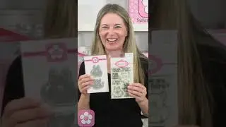 New: Cat & Dog Pudgie Clear Stamps & Dies, Country Sunflower Paper Pad, Vellum Paper Pack, & More!