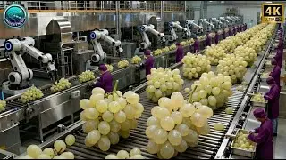 Inside a Modern White Grape Processing Plant: From Raw Grapes to Crystal-Clear Juice (Full Process)