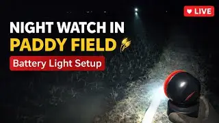 Battery Light Setup in Paddy Field 🌾 | રોપેલી ડાંગર ના શેઢે ફરતી બેટરી લાઈટ મુકવા જઈએ | Night Farmi