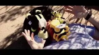 Bee Safety and You