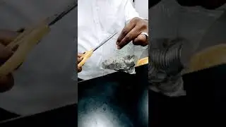 New 20 rs coin released by RBI